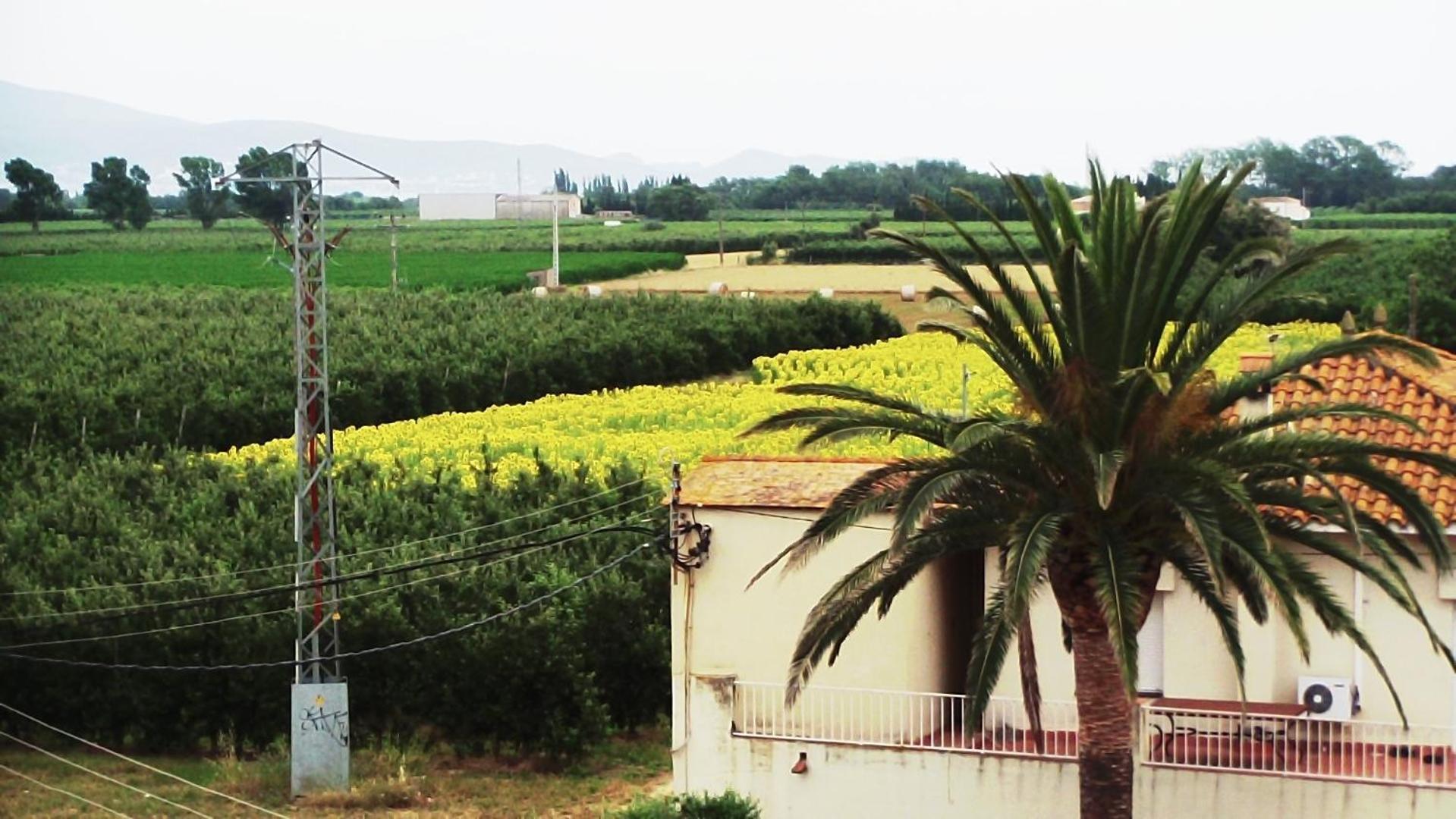 La Masia Sant Pere Pescador Buitenkant foto